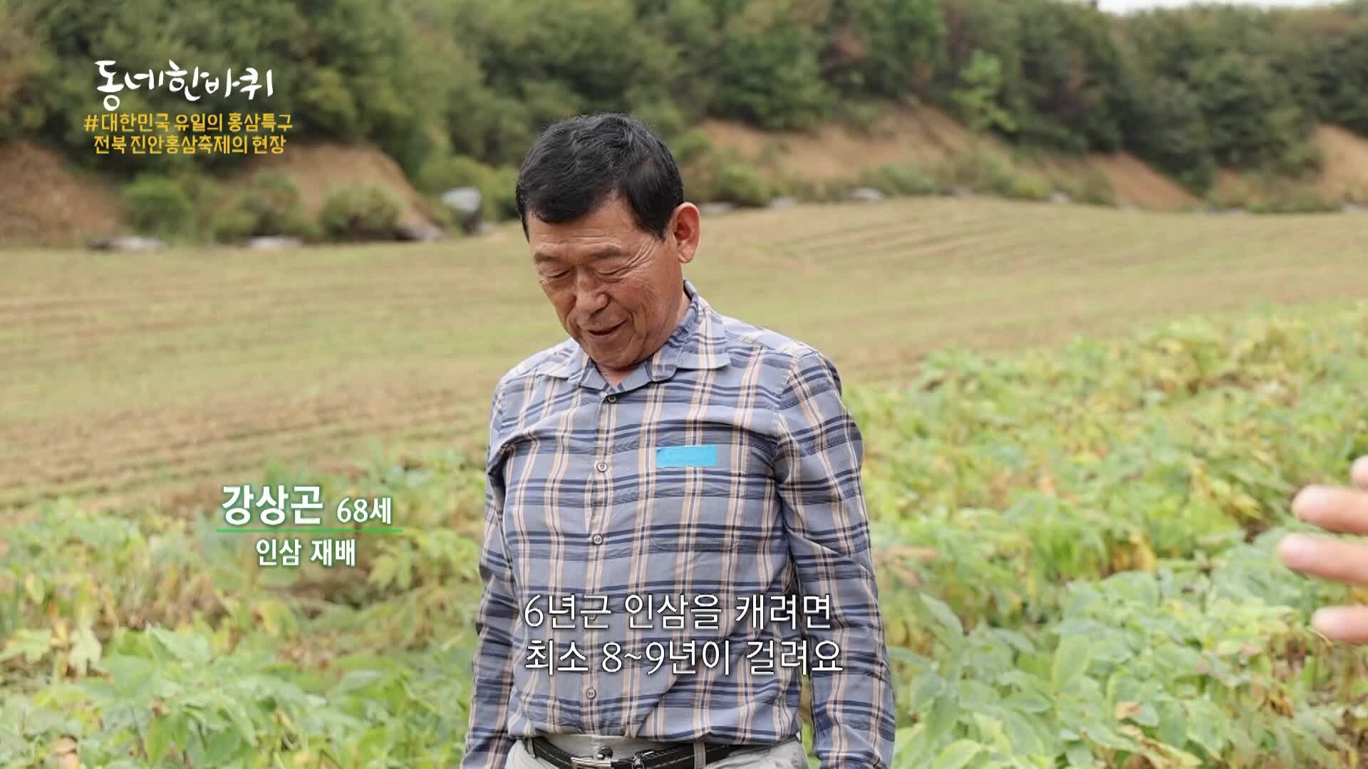 인삼밭에서 재배 이야기를 전하는 강상곤 씨의 방송 화면