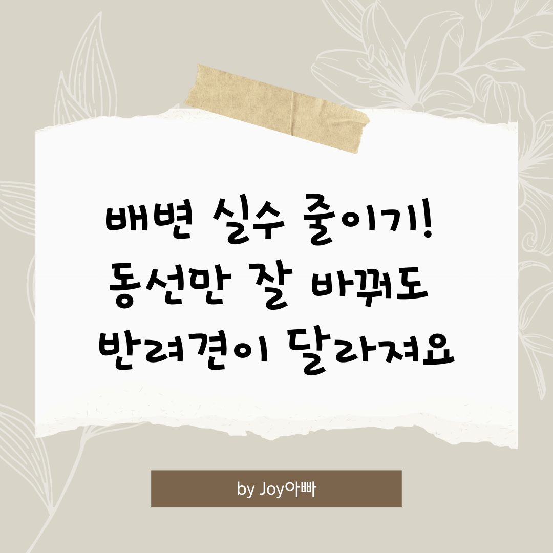 배변 실수 줄이기