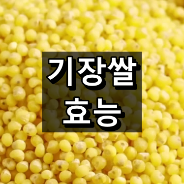 기장쌀 효능 대표 이미지