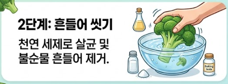 브로콜리 씻는방법