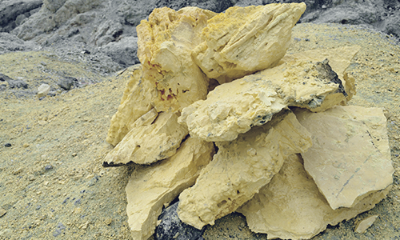 관절영양제 MSM효능 부작용