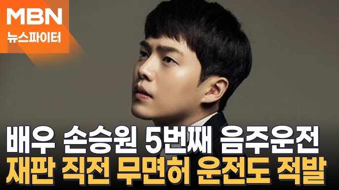 손승원 음주운전, 손승원 프로필, 배우 손승원, 손승원 윤창호법, 손승원 무면허 운전, 손승원 뺑소니, 손승원 실형, 손승원 사건, 청춘시대 손승원, 뮤지컬 배우 손승원