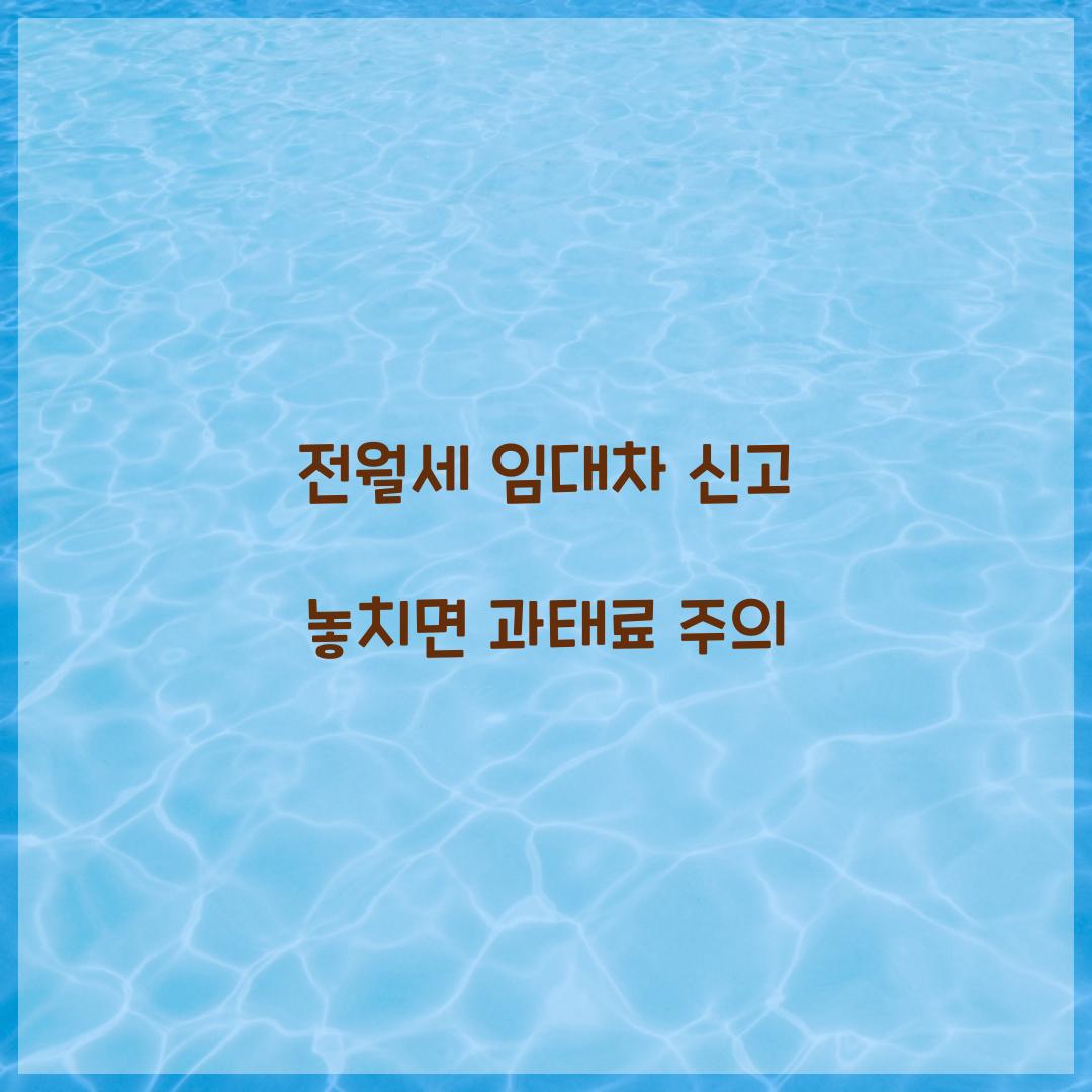 전월세 임대차 신고