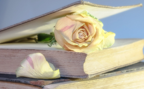 공인중개사 기출문제 다운로드