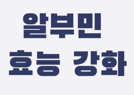알부민의 효능