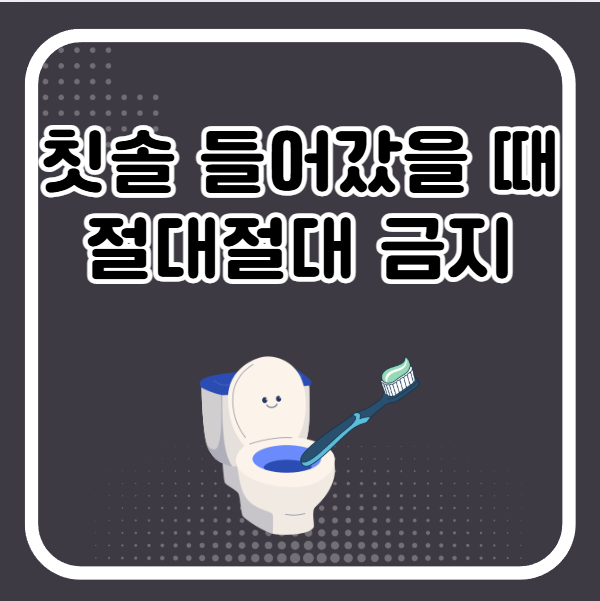 변기에 칫솔 빠졌을 때 절대 하면 안되는 금지사항들