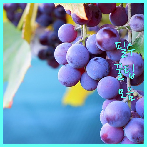 요양병원 입원 생활, 더 편안하게 만