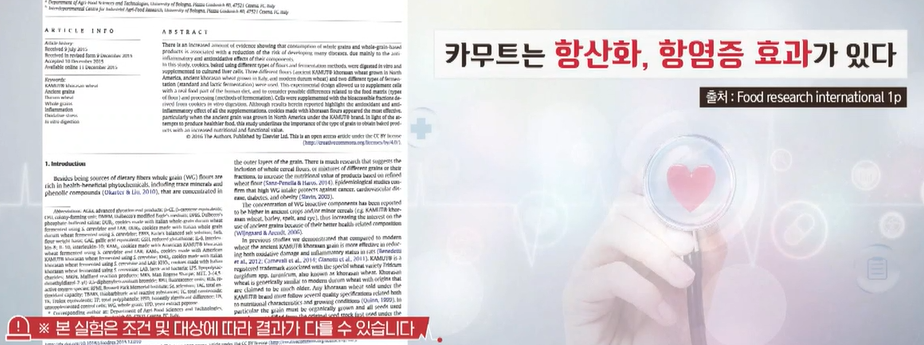 카무트 효소 효능