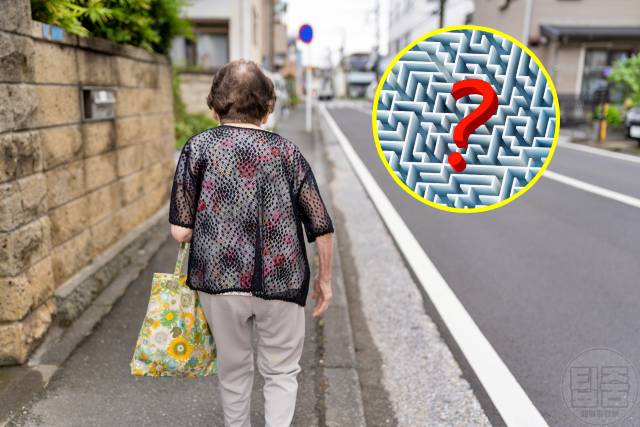 치매 초기증상 치매 건망증 차이 실종