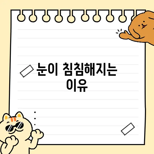 눈이 침침해지는 이유