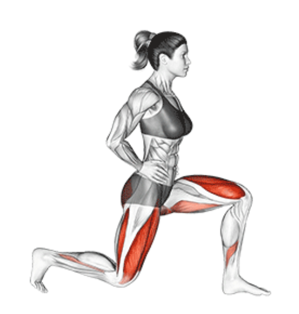 통증완화, 무릎스트레칭, 햄스트링, 대퇴사두근, 무릎통증, 운동루틴, 골반정렬, 종아리근육, 스트레칭방법, 건강습관