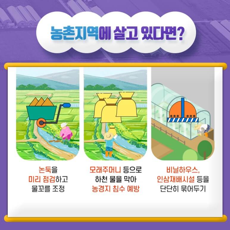 태풍