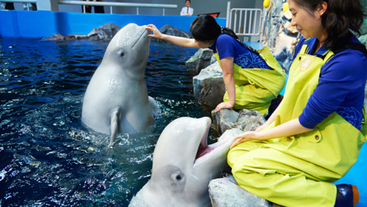 여수 아쿠아리움