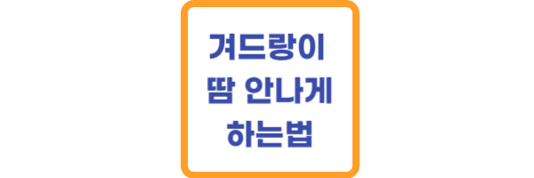 겨드랑이 땀 안나게하는법