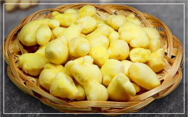 생강이 건강에 미치는 영향