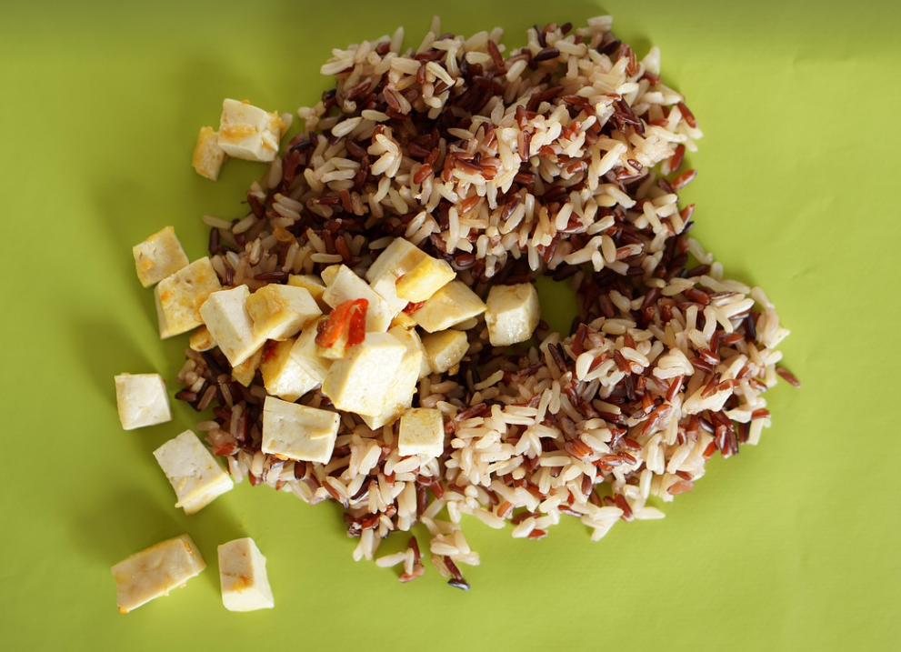 두부로 가능한 요리들