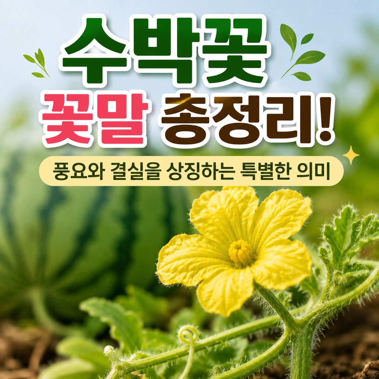 수박꽃 꽃말