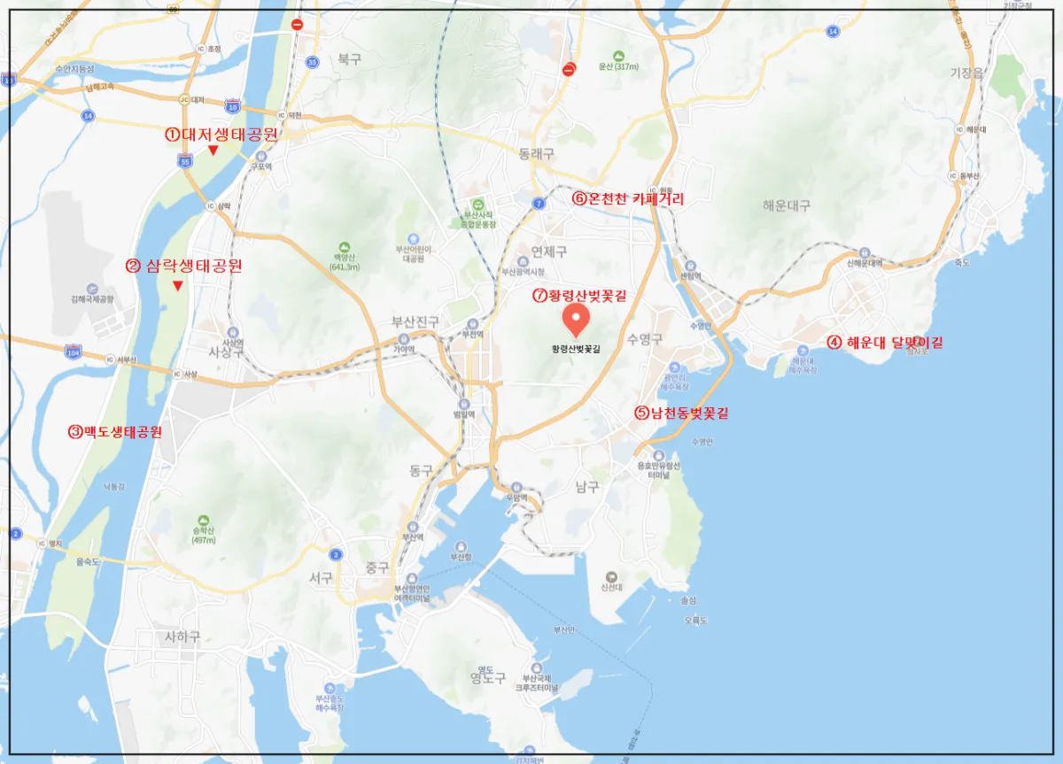 부산벚꽃명소-지도
