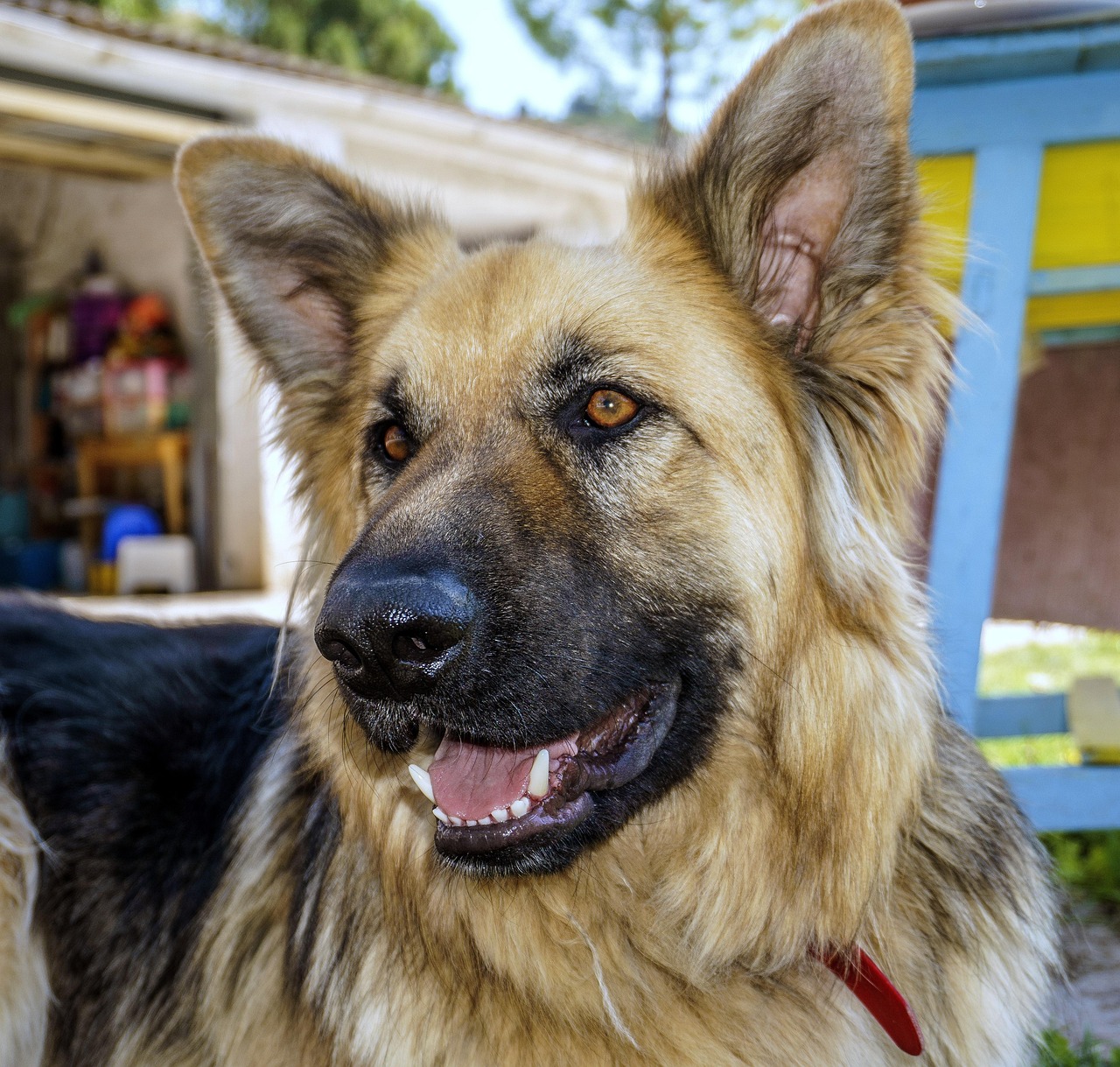 당뇨병 초기증상(8)