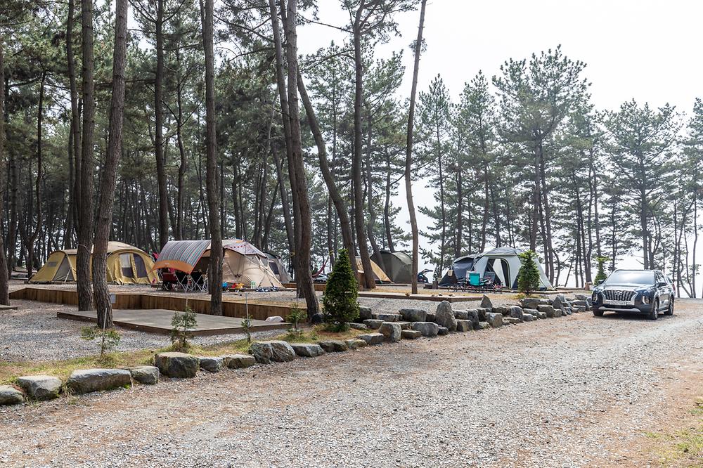 충남 서천 장항오토캠핑장 소개