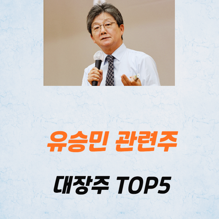 유승민 관련주 대장주 테마주 수혜주 TOP5