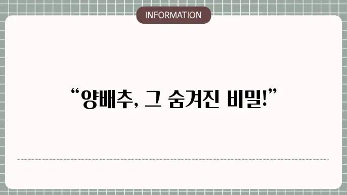 양배추 다양한 요리 활용