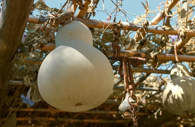 호리 뜻 고사성어 유리 의미 활용법_5
