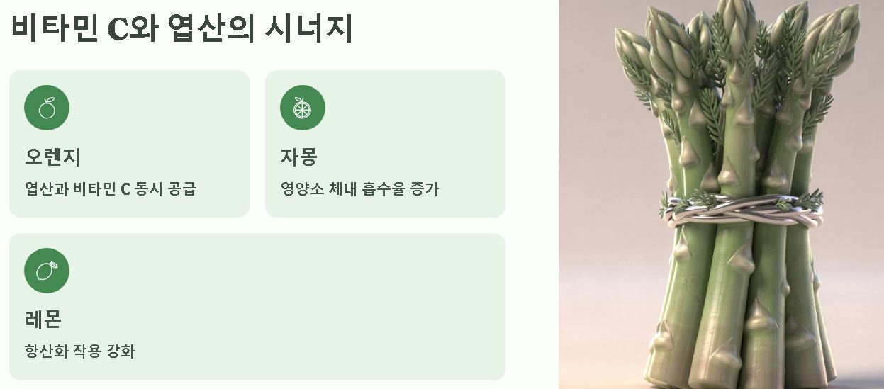 엽산이 많은 음식 과일