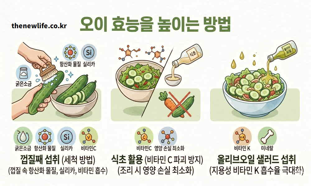 오이 효능 높이는 방법