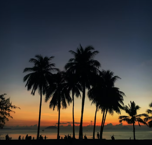 일찍가는 베트남 나트랑 4박5일 일정