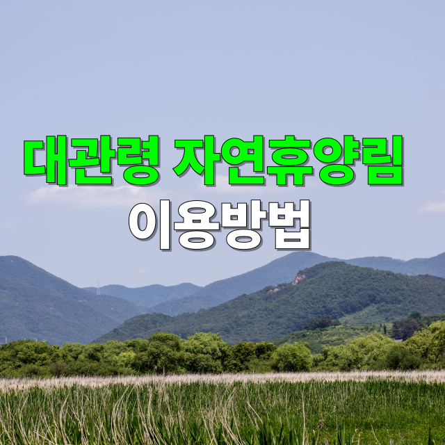 대관령자연휴양림 예약방법 및 주차 맛집