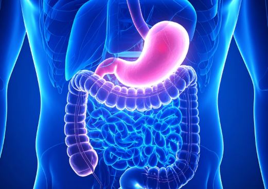 인퓨라젠 위고프로 효과