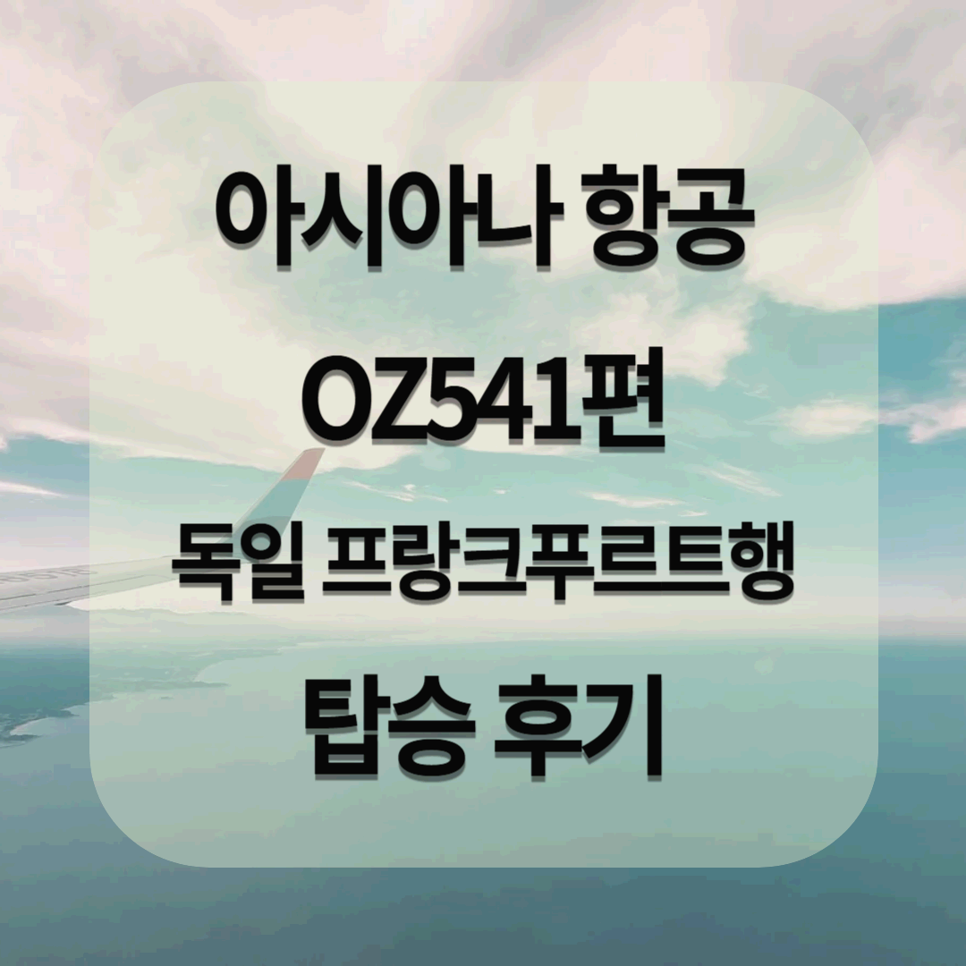 아시아나 항공 OZ541편 독일 프랑크푸르트행 탑승 후기