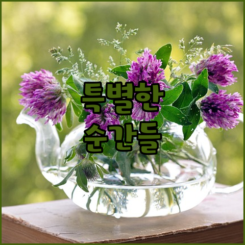 이스트랜드 호텔 & 레지던스에서 누릴