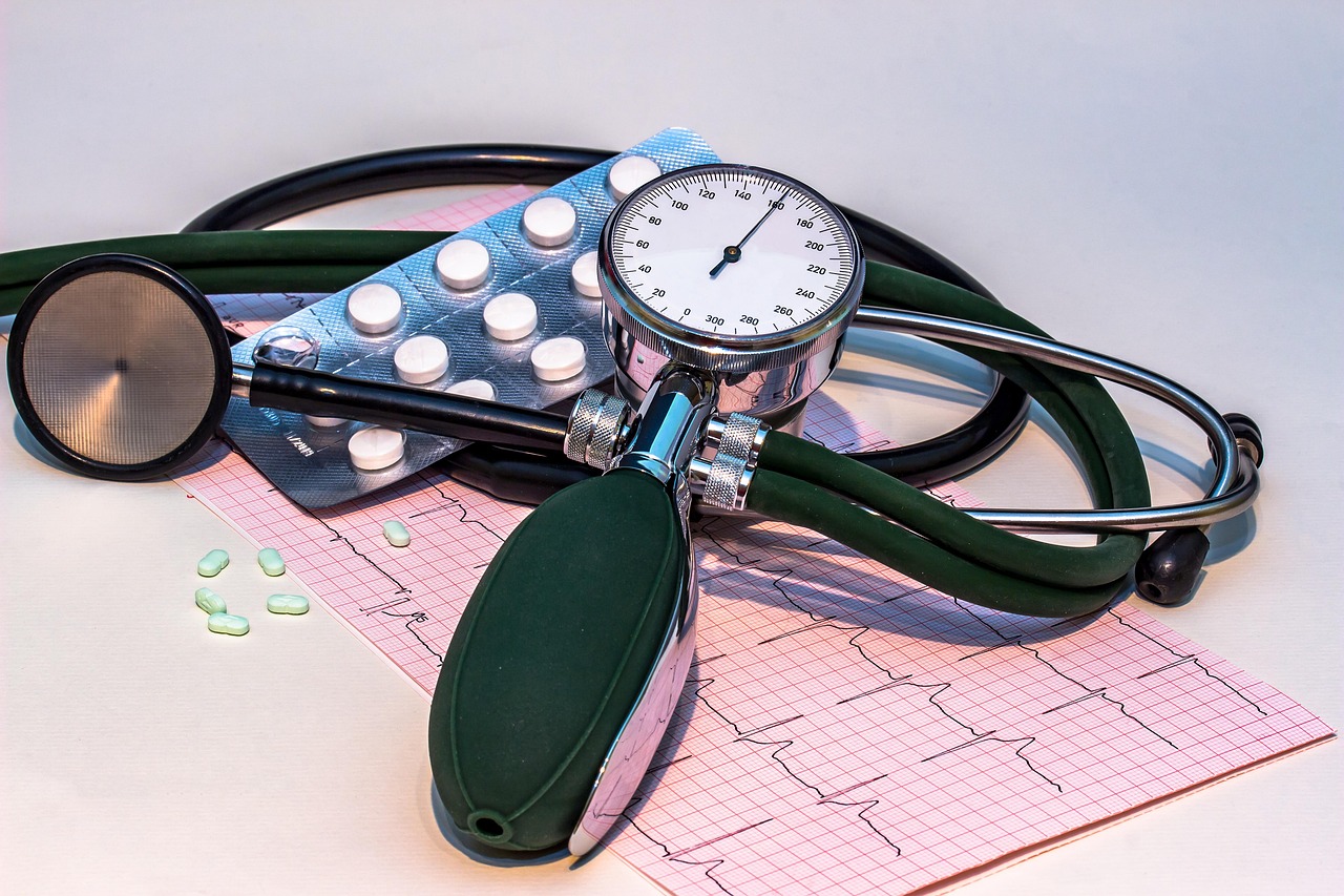 건강검진결과조회