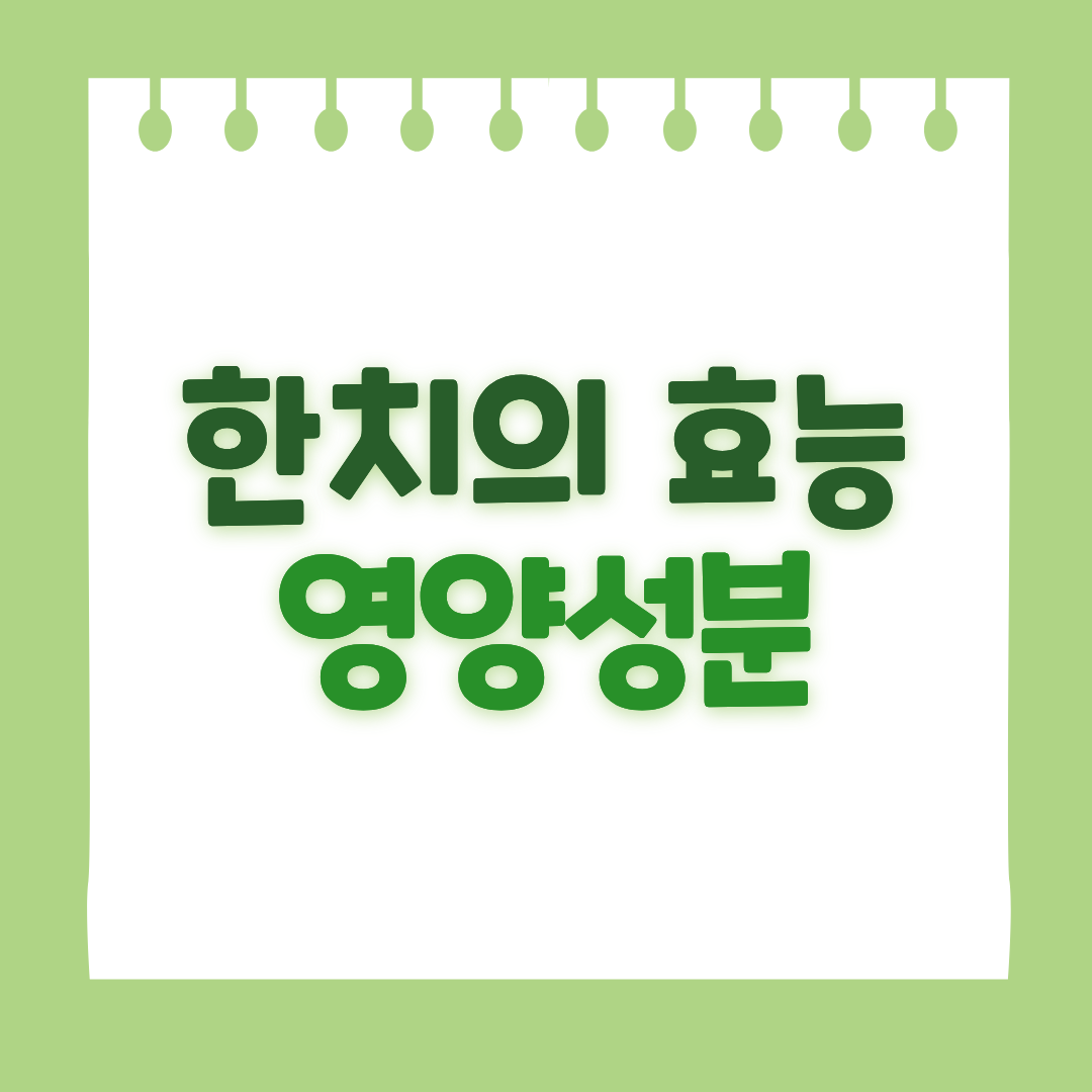 한치의 효능 및 영양성분