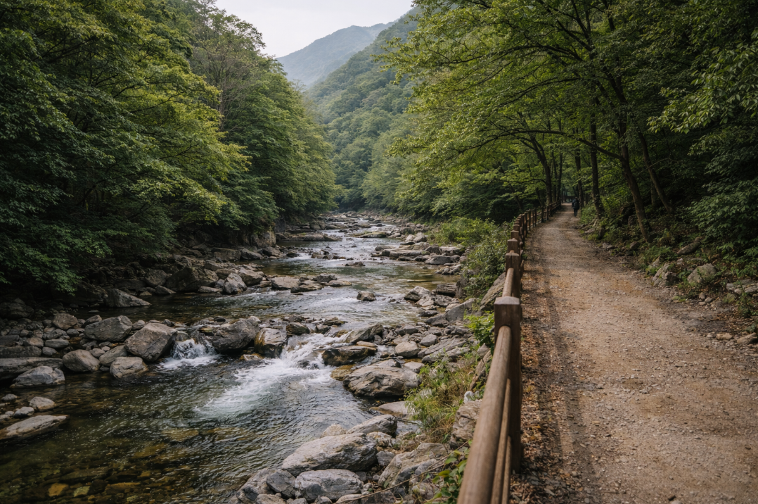 무주 구천동계곡의 맑은 물길과 바위, 숲이 함께 이어지는 모습