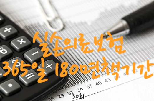 실손의료보험 보장기간 한도