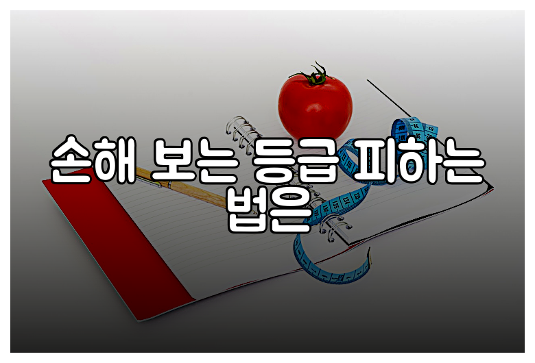 손해 보는 등급 피하는 법은