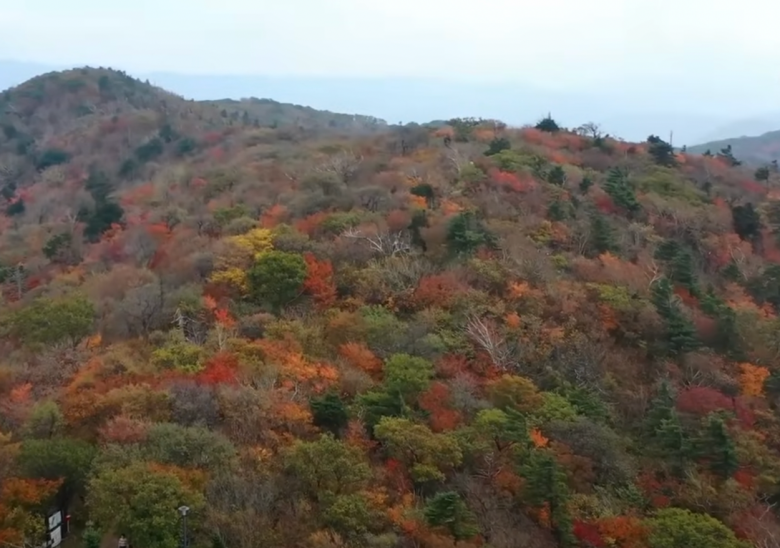 발왕산