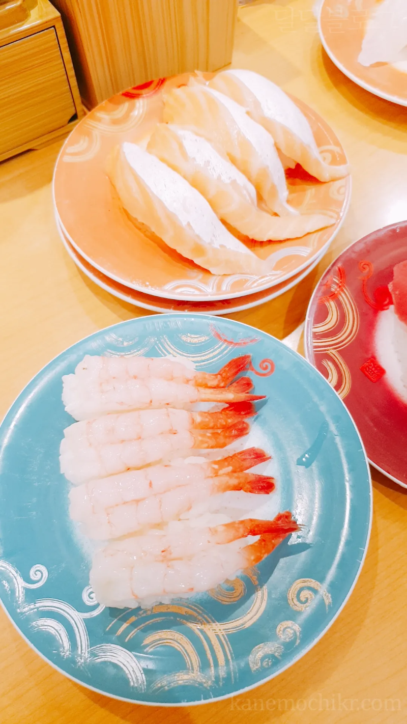 삿뽀로-토리톤스시-회전초밥