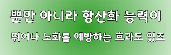  뿐만 아니라 항산화 능력이 뛰어나 노화를 예방하는 효과도 있죠