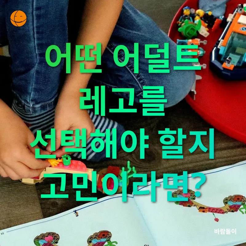 어덜트 레고_2