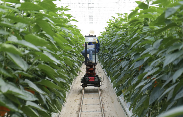 기후동행카드 구매·충전 방법 완벽정리 : 서울 대중교통 무제한 이용 꿀팁