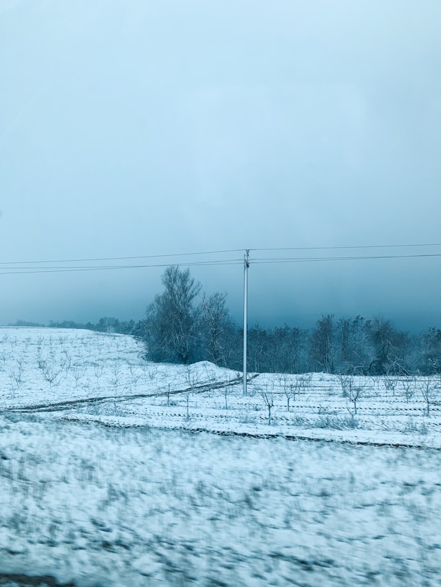 오늘 날씨 대설경보 실시간 확인 완벽 정리