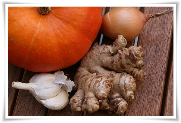 "10월 하순, 생강 수확 하세요!" 생강의 매력과 건강 효능, 최적의 수확시기! 생강의 효능과 활용!