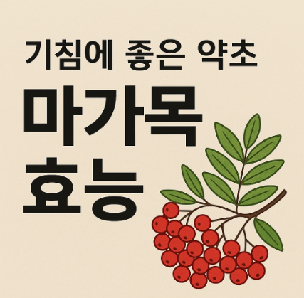 마가목 효능
