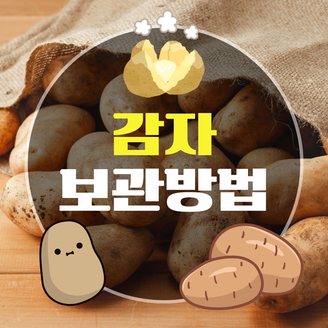 감자 보관법