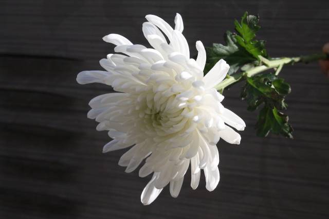 삼우제 지내는 절차