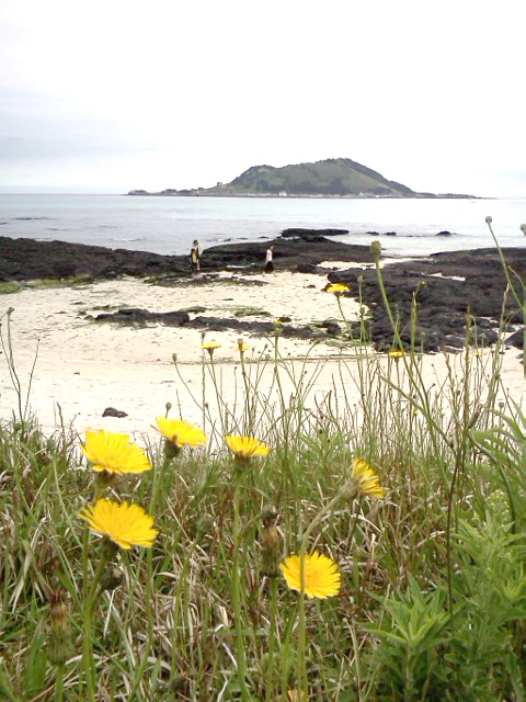 협재해수욕장(Hyeopjae Beach)